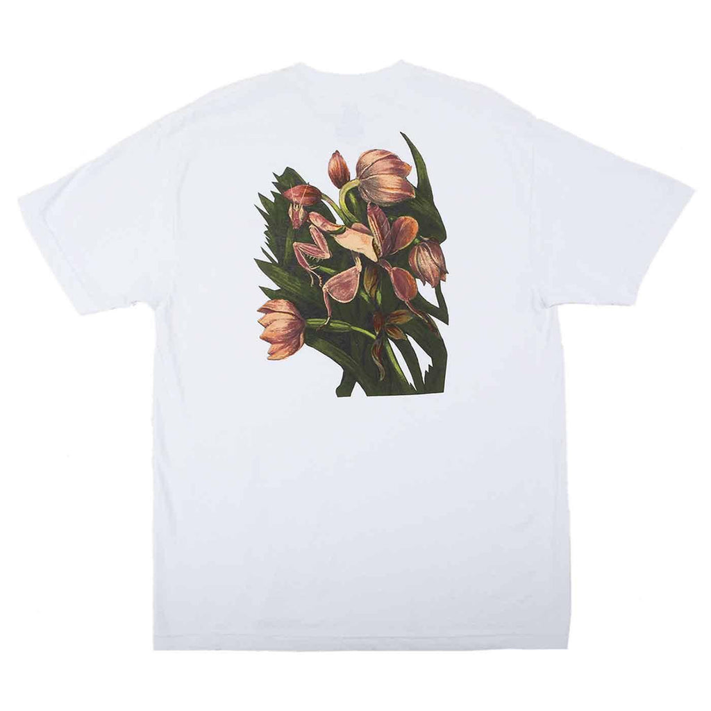 Theories Flora T-Shirt Black  Theories   